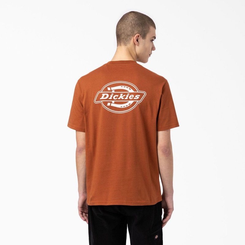 Men\'s Dickies Back Logo Graphic T-Shirt Brown | 627140ROG