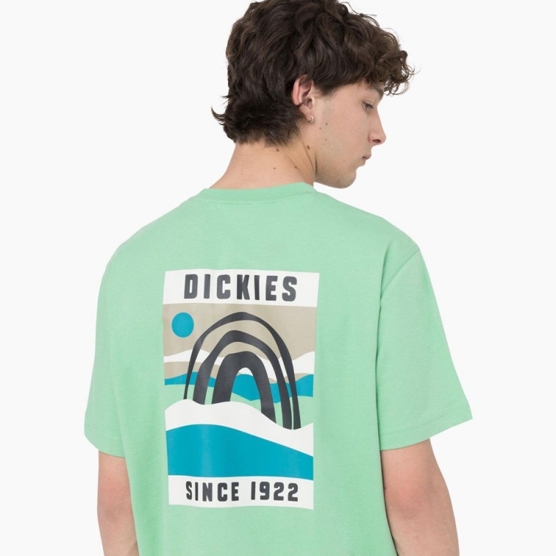 Men's Dickies Baker City Short Sleeve T-Shirt Green | 675213GDI