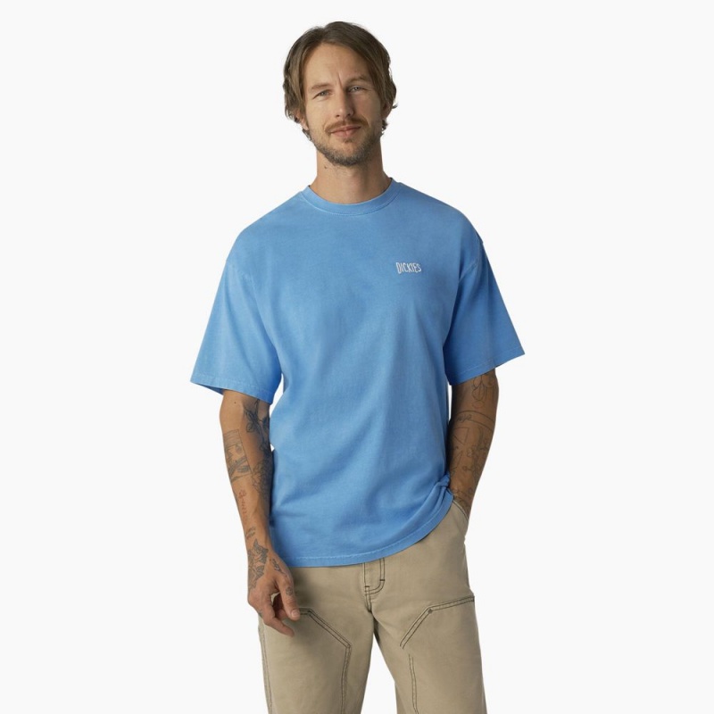 Men\'s Dickies Bandon Short Sleeve T-Shirt Blue | 952406EKA