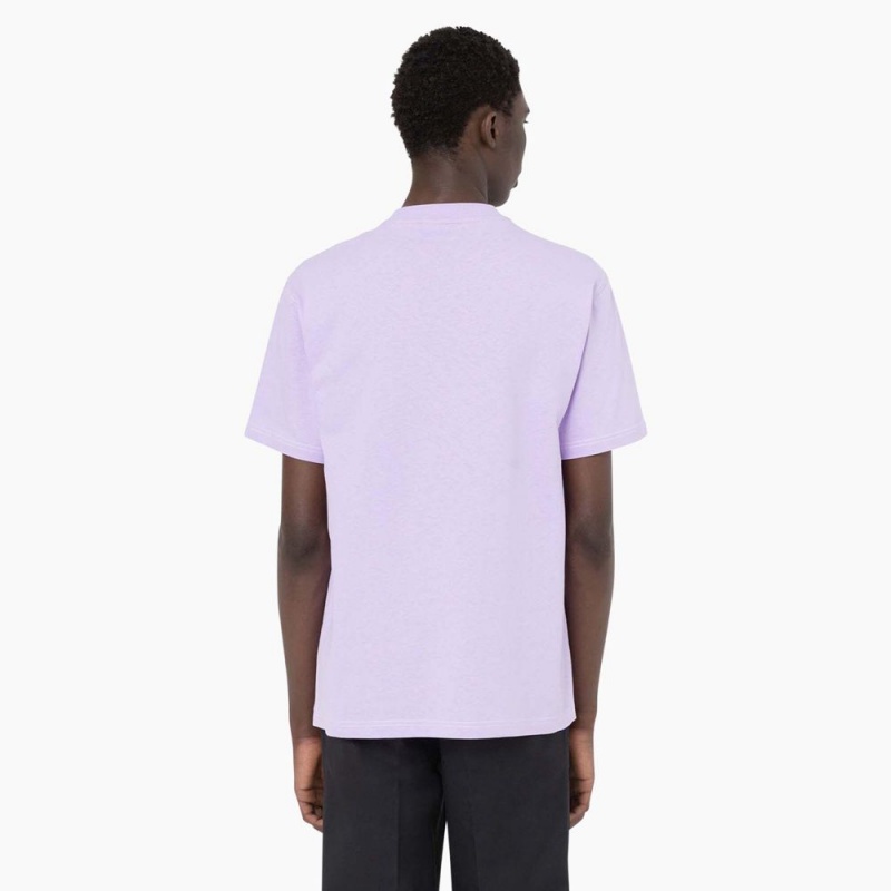 Men's Dickies Beavertown Short Sleeve T-Shirt Purple | 615379PRD