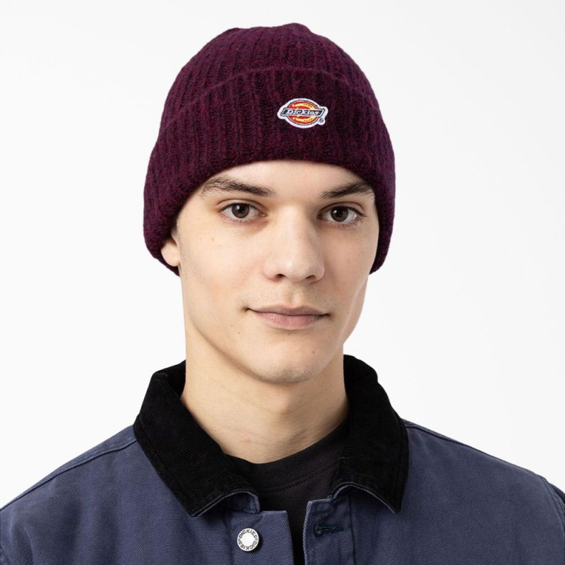 Men's Dickies Brewton Beanie Purple | 028135IAX