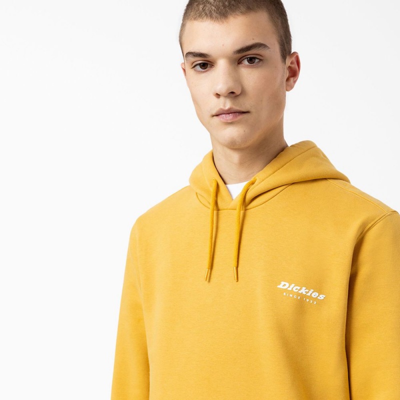 Men's Dickies Camden Box Graphic Hoodie Yellow | 280394JBK