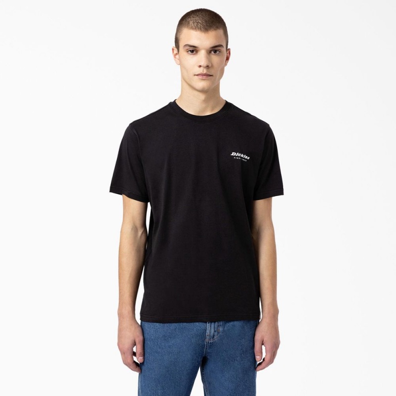 Men's Dickies Camden Box Graphic T-Shirt Black | 428510QKB