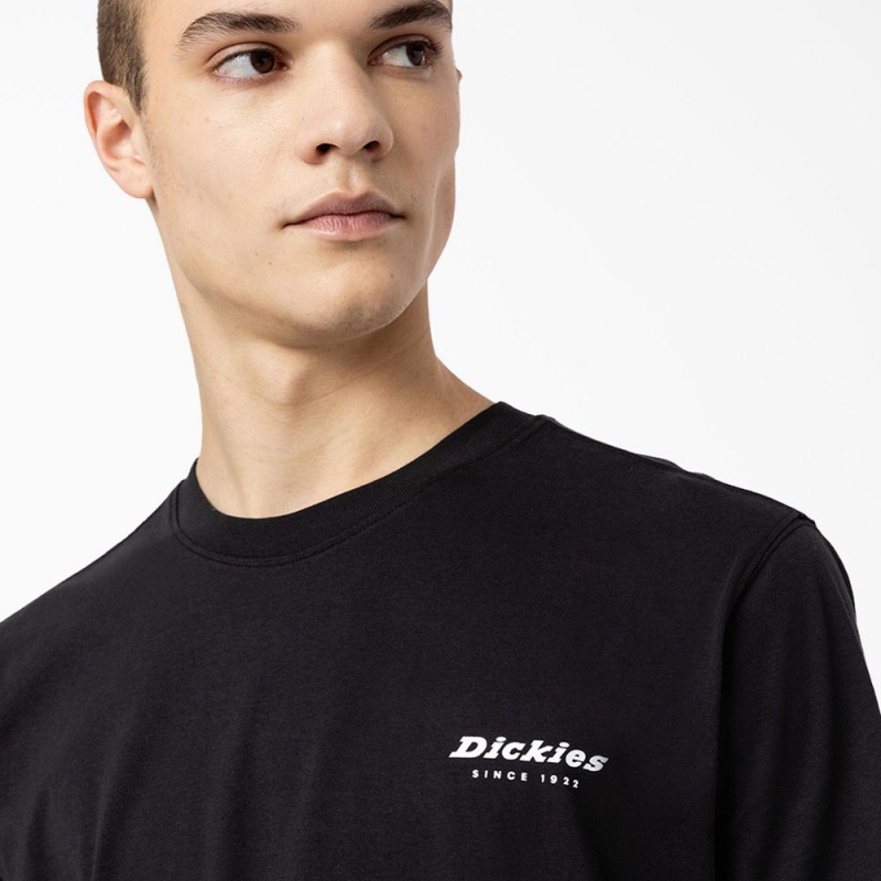 Men's Dickies Camden Box Graphic T-Shirt Black | 428510QKB