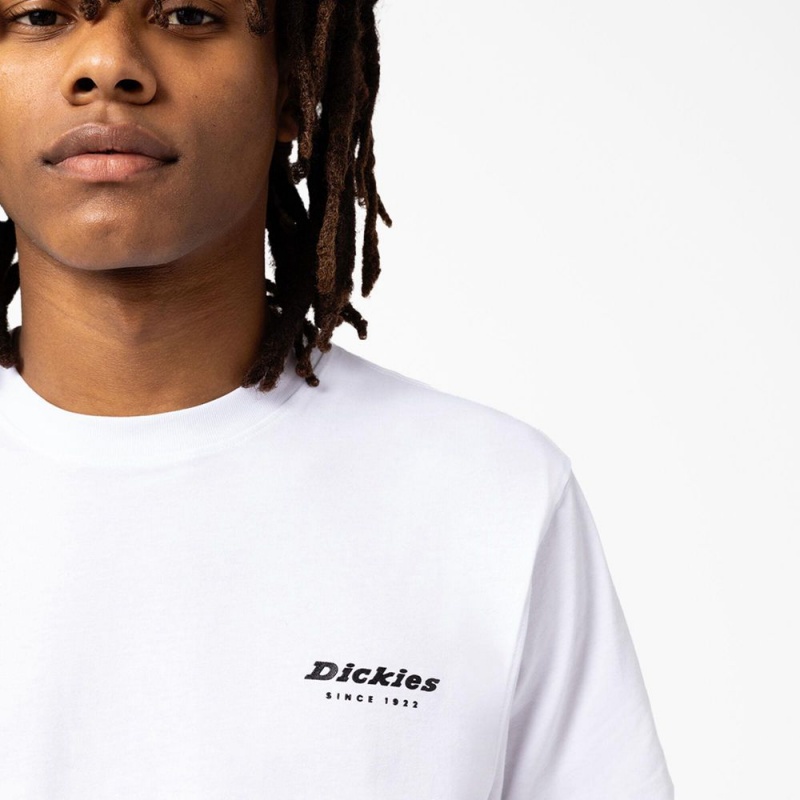 Men's Dickies Camden Box Graphic T-Shirt White | 534729DNZ