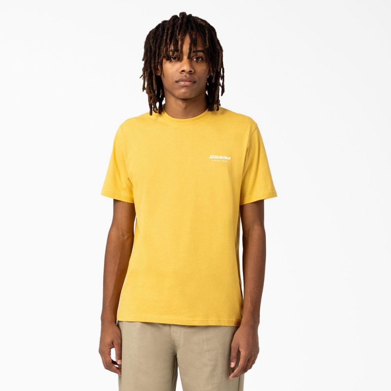 Men's Dickies Camden Box Graphic T-Shirt Yellow | 721845KJR