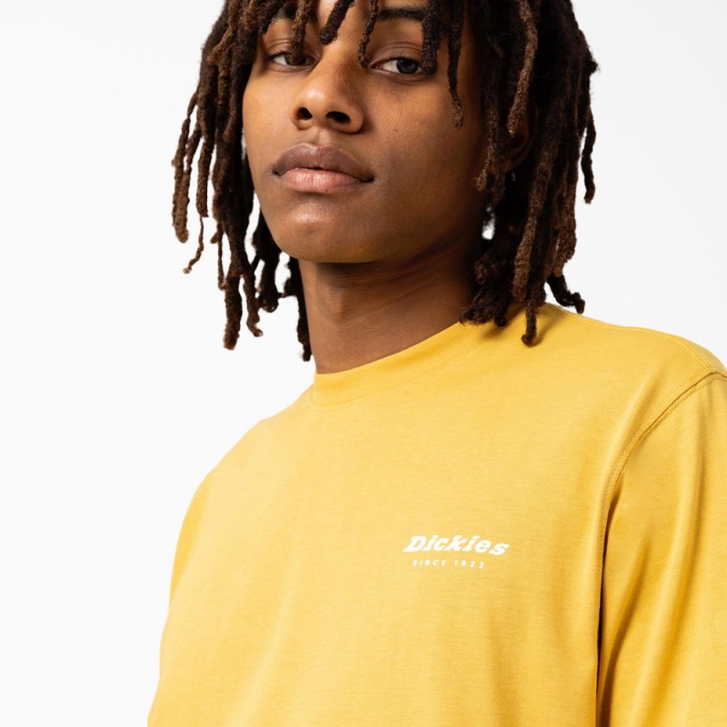 Men's Dickies Camden Box Graphic T-Shirt Yellow | 721845KJR