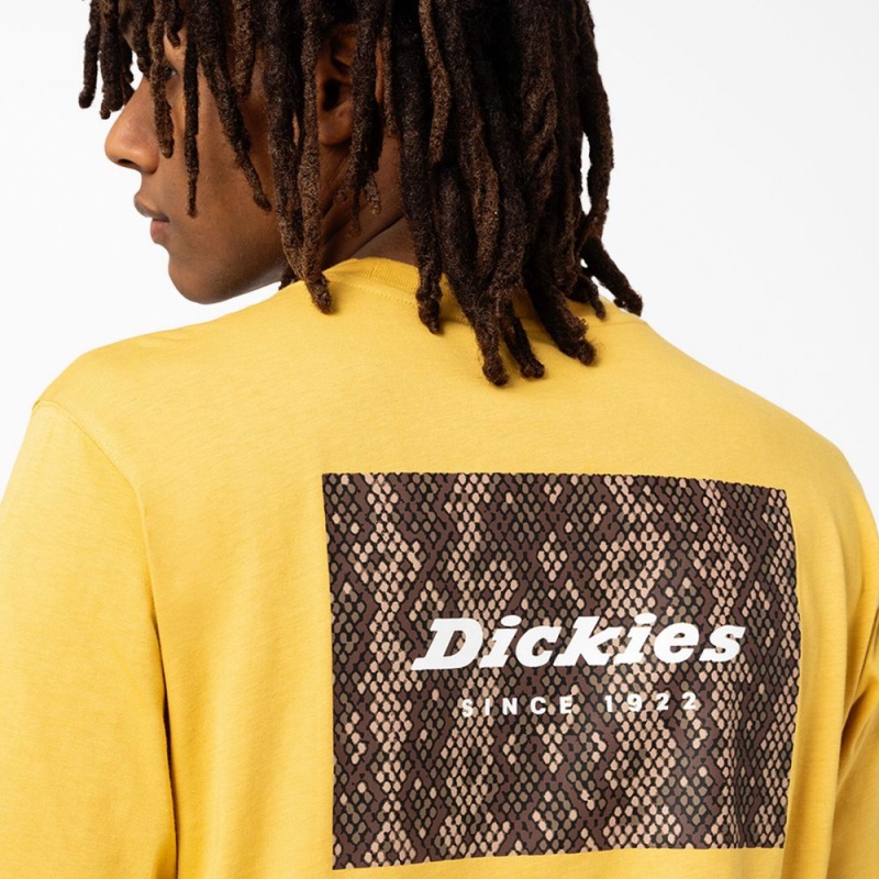 Men's Dickies Camden Box Graphic T-Shirt Yellow | 721845KJR