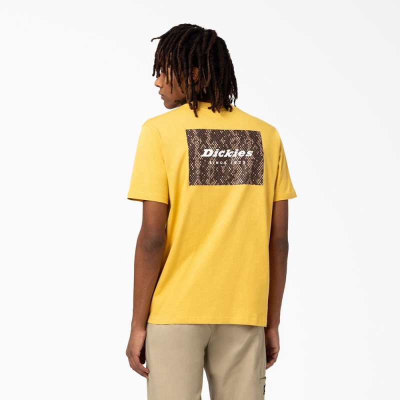 Men\'s Dickies Camden Box Graphic T-Shirt Yellow | 721845KJR