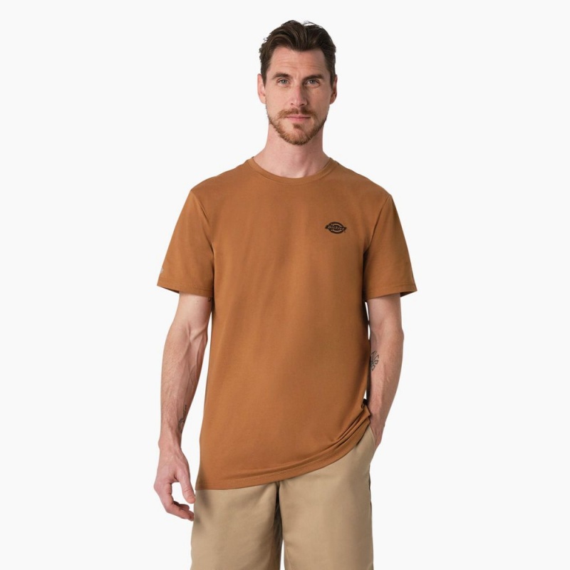 Men's Dickies Cooling Performance Graphic T-Shirt Brown | 108974AOE