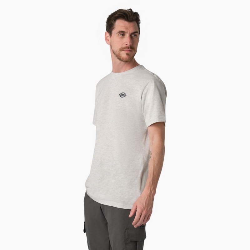 Men's Dickies Cooling Performance Graphic T-Shirt Grey | 359718HYQ