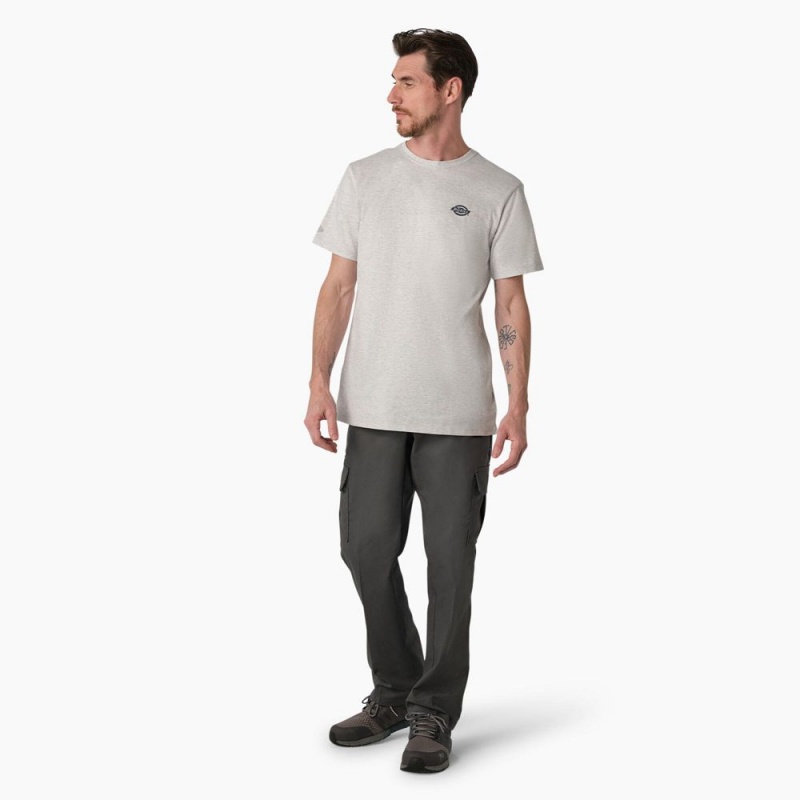 Men's Dickies Cooling Performance Graphic T-Shirt Grey | 359718HYQ