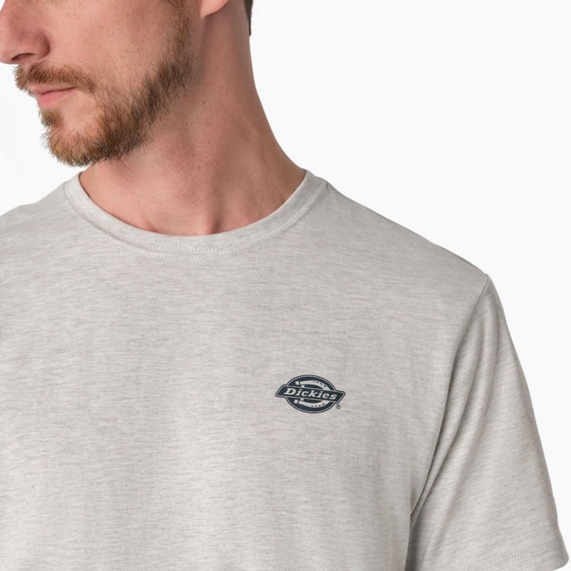 Men's Dickies Cooling Performance Graphic T-Shirt Grey | 359718HYQ