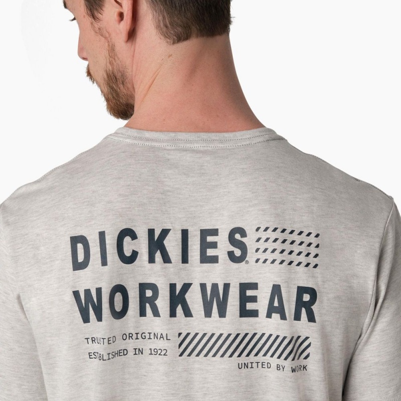 Men's Dickies Cooling Performance Graphic T-Shirt Grey | 359718HYQ