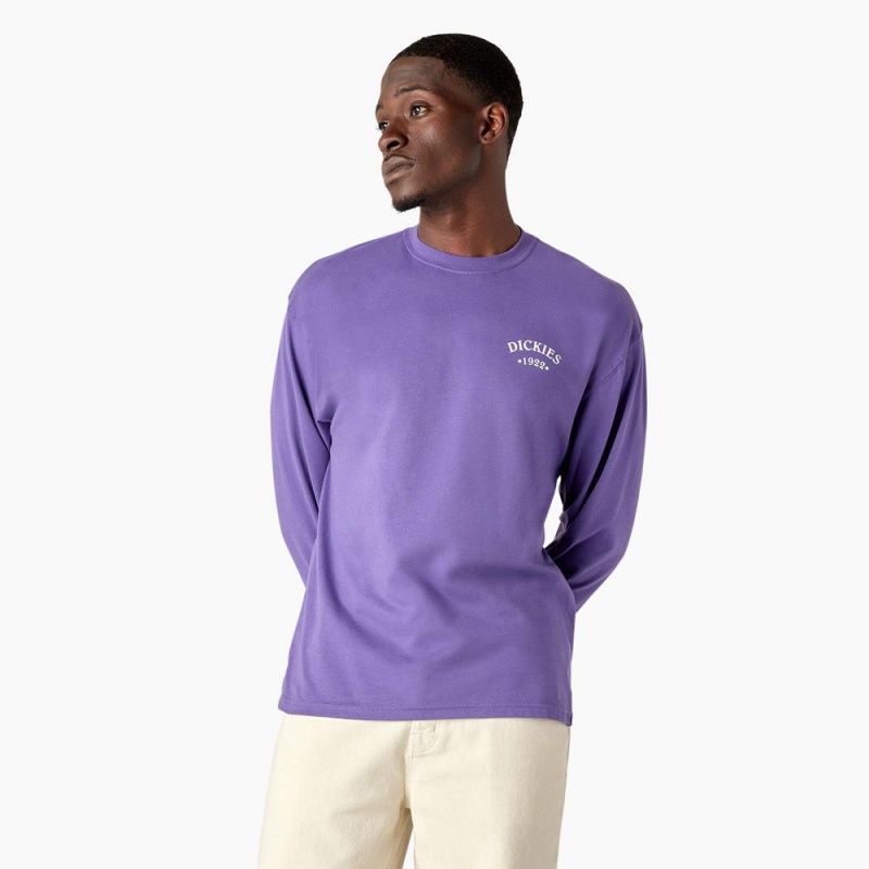 Men's Dickies Garden Plain Graphic Long Sleeve T-Shirt Purple | 458739HIR