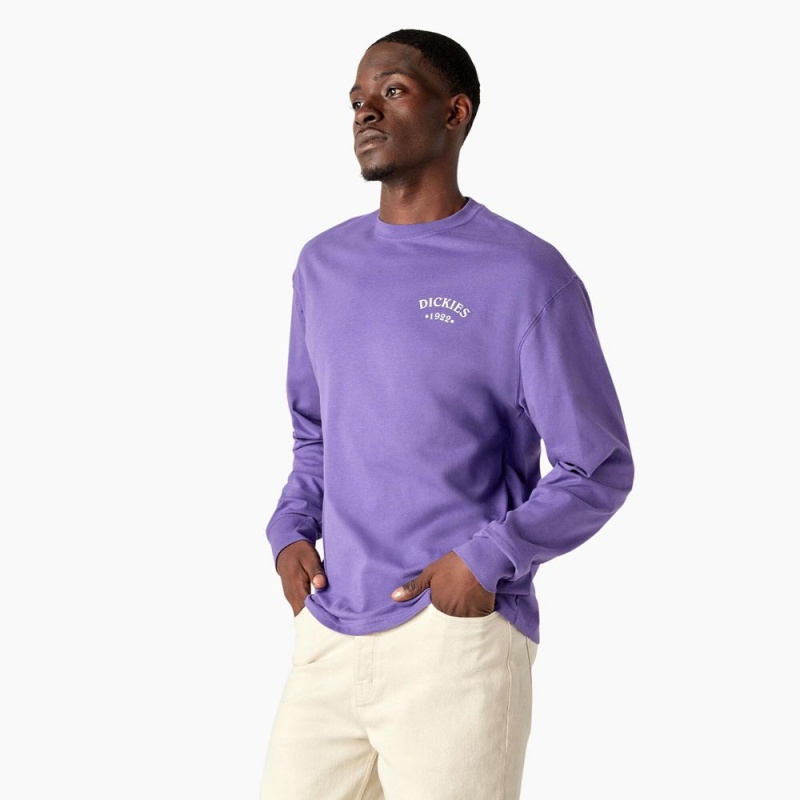 Men's Dickies Garden Plain Graphic Long Sleeve T-Shirt Purple | 458739HIR