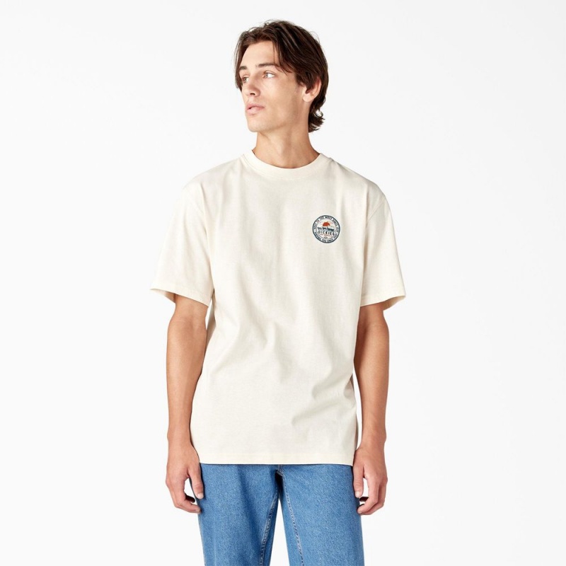 Men's Dickies Greensburg Graphic T-Shirt Beige | 905314HRX