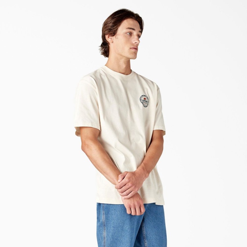 Men's Dickies Greensburg Graphic T-Shirt Beige | 905314HRX