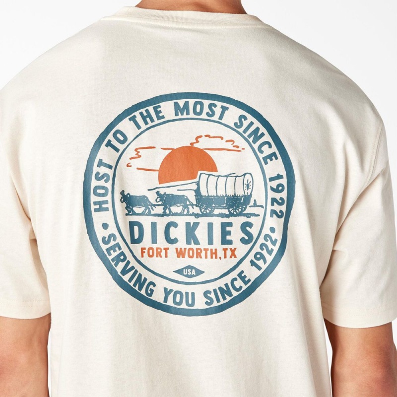 Men's Dickies Greensburg Graphic T-Shirt Beige | 905314HRX