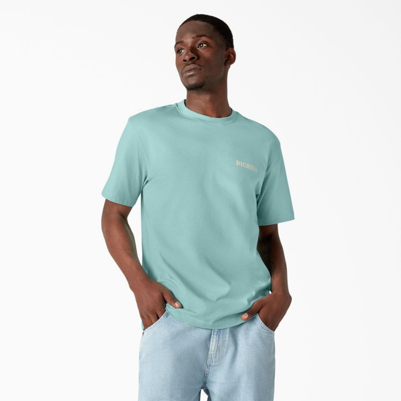 Men's Dickies Hays Graphic T-Shirt Turquoise | 348295KVS