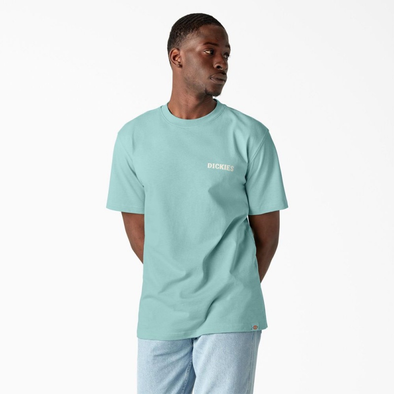 Men's Dickies Hays Graphic T-Shirt Turquoise | 348295KVS