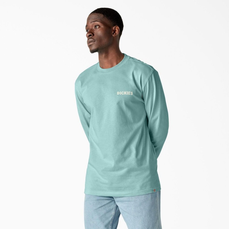 Men's Dickies Hays Long Sleeve Graphic T-Shirt Turquoise | 403852GBQ