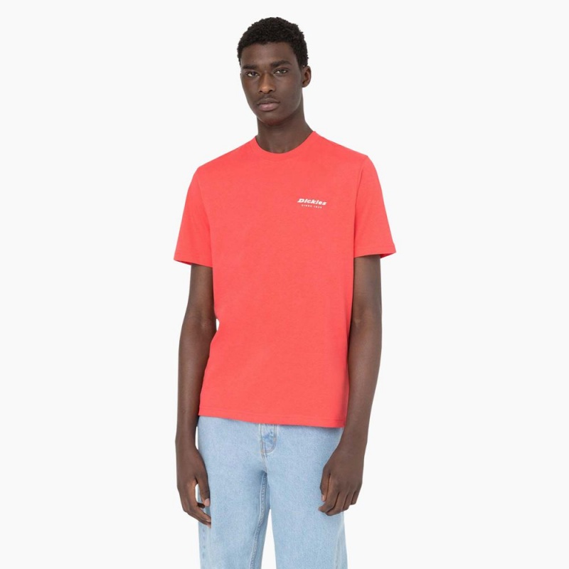 Men's Dickies Leesburg Short Sleeve T-Shirt Pink | 768021NOX