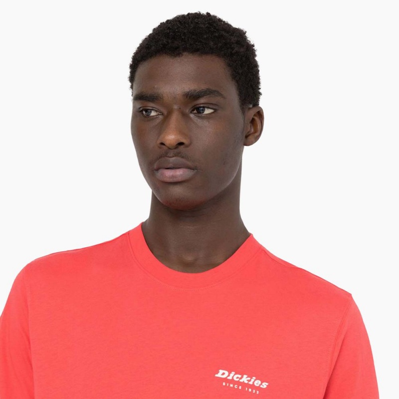 Men's Dickies Leesburg Short Sleeve T-Shirt Pink | 768021NOX