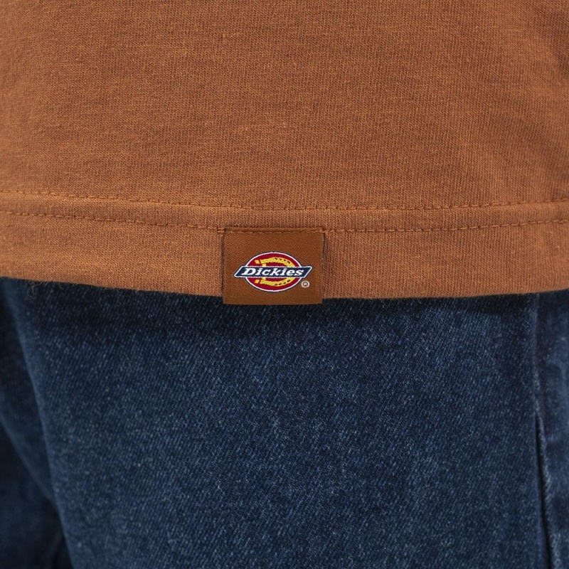 Men's Dickies Long Sleeve Henley T-Shirt Brown | 936485UBT