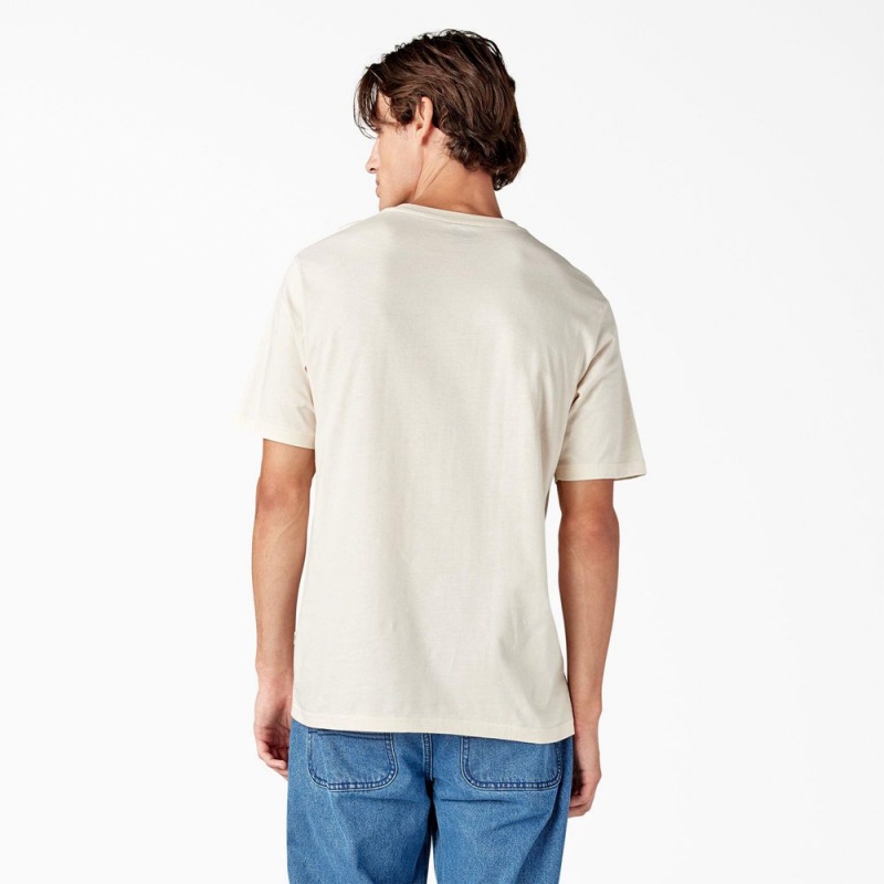 Men's Dickies Mapleton Short Sleeve T-Shirt Beige | 475602QCF