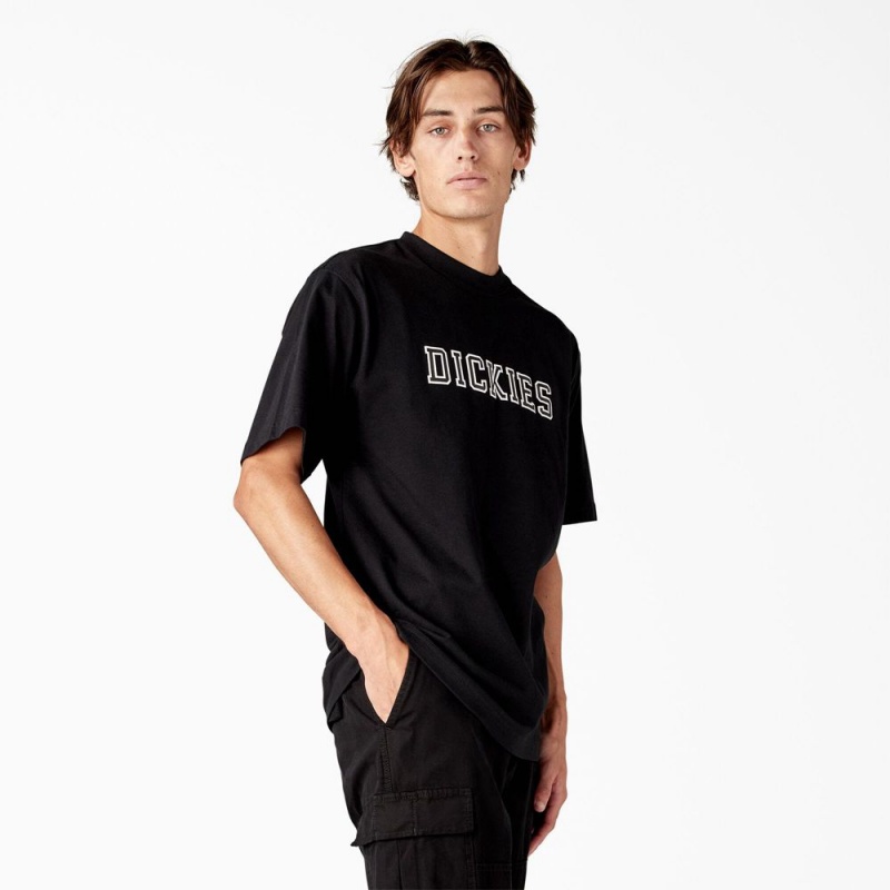 Men's Dickies Melvern Graphic T-Shirt Black | 801625QLD