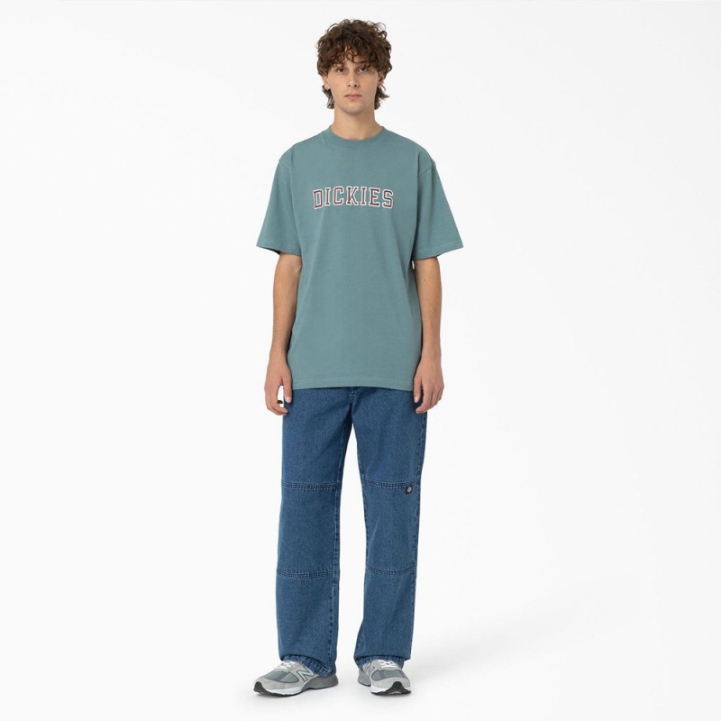 Men's Dickies Melvern Graphic T-Shirt Blue | 041673LNK