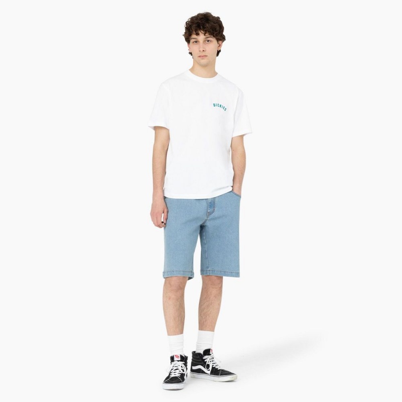 Men's Dickies Skateboarding Loose Fit Wingville Shorts Blue | 732680AJU