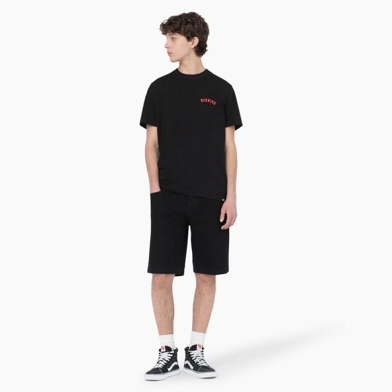 Men's Dickies Skateboarding Loose Fit Wingville Shorts Black | 056143VXW