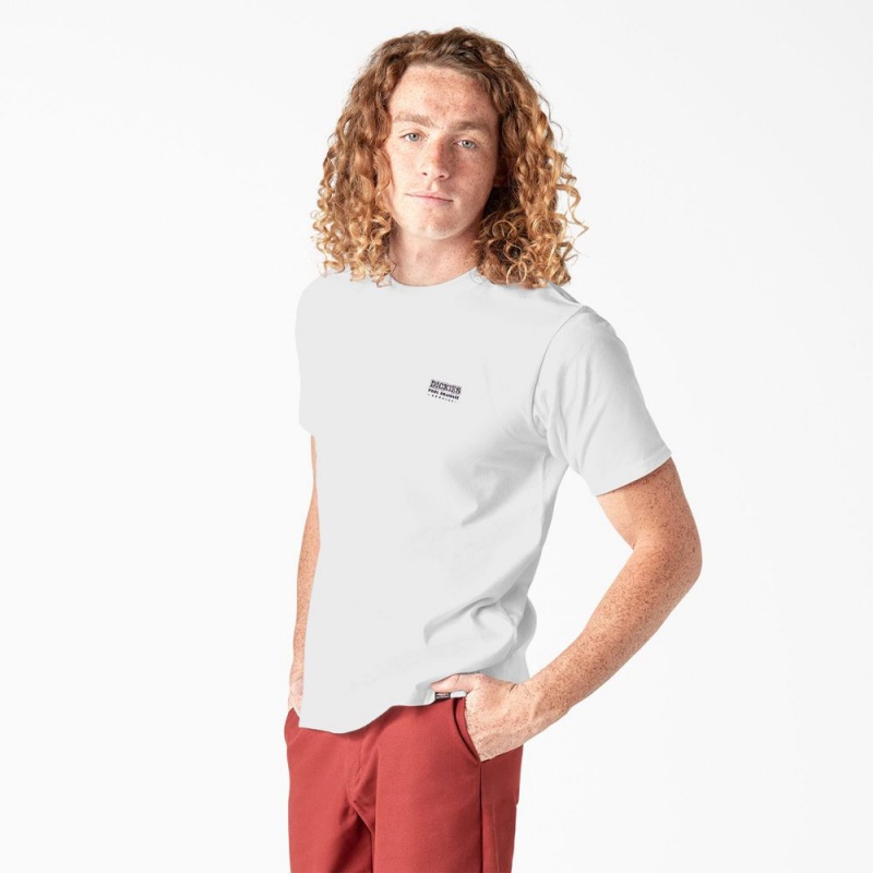 Men's Dickies Skateboarding Pool Drainage Graphic T-Shirt White | 301749YBE