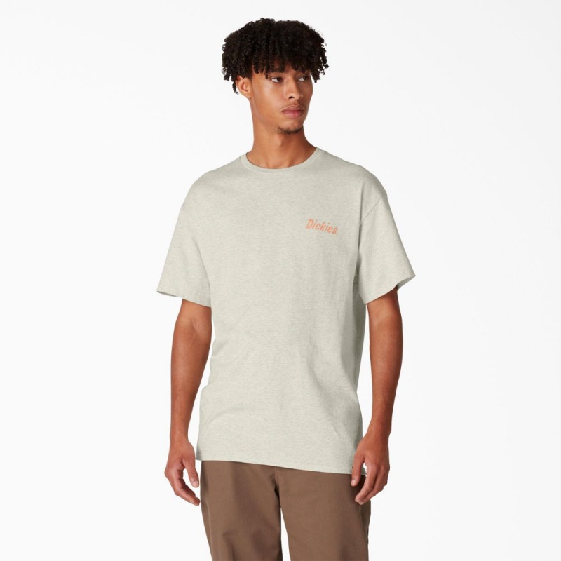 Men's Dickies Skateboarding Split Graphic T-Shirt Beige | 049251VRO