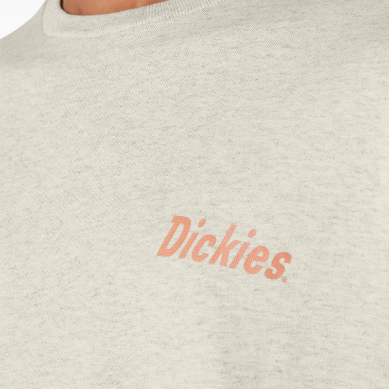 Men's Dickies Skateboarding Split Graphic T-Shirt Beige | 049251VRO