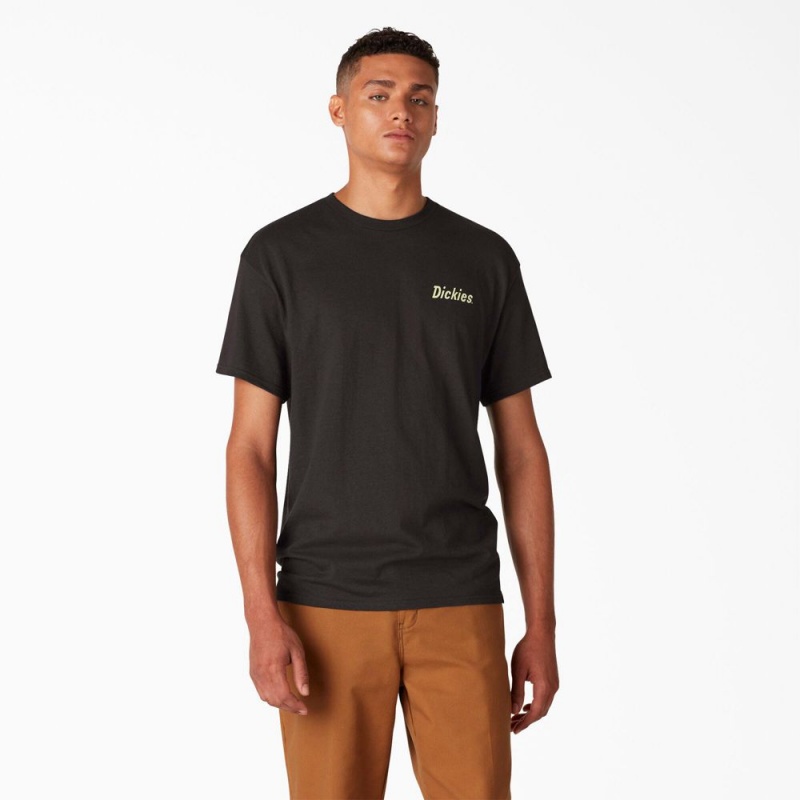 Men's Dickies Skateboarding Split Graphic T-Shirt Black | 092754TRJ