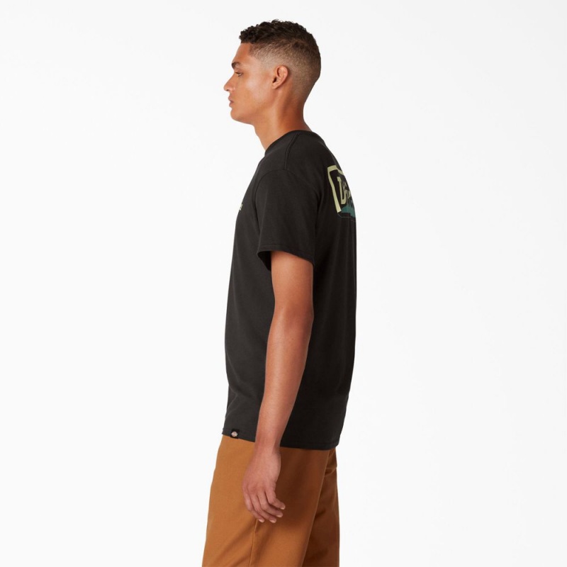 Men's Dickies Skateboarding Split Graphic T-Shirt Black | 092754TRJ