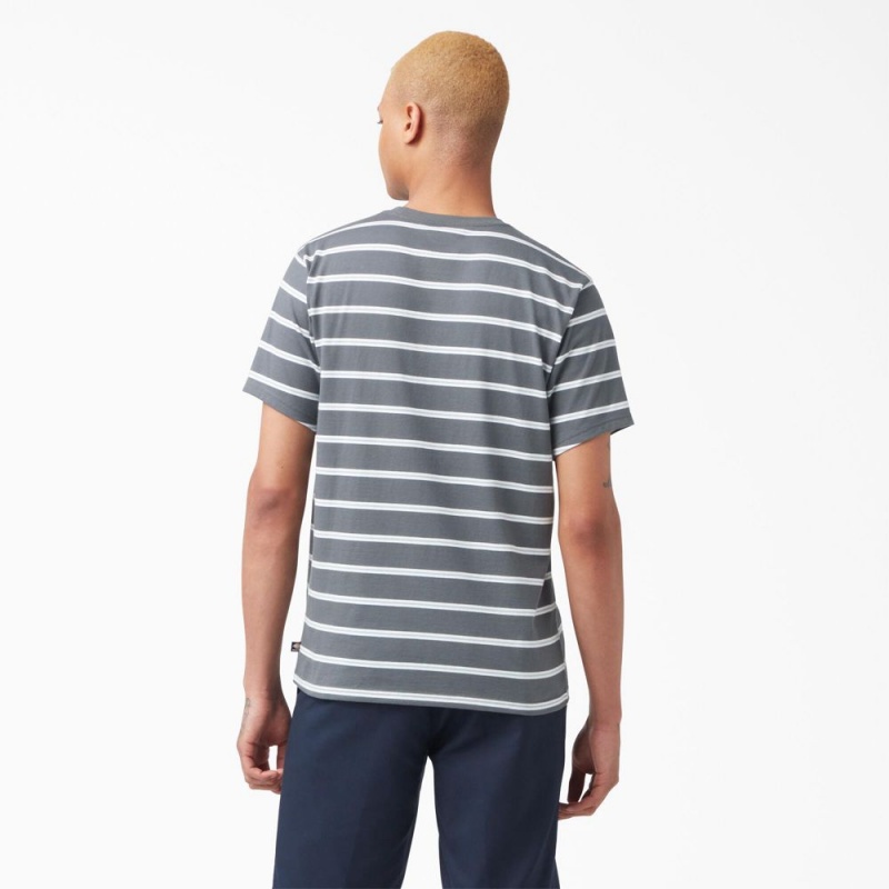 Men's Dickies Skateboarding Striped T-Shirt Grey | 862705LKR