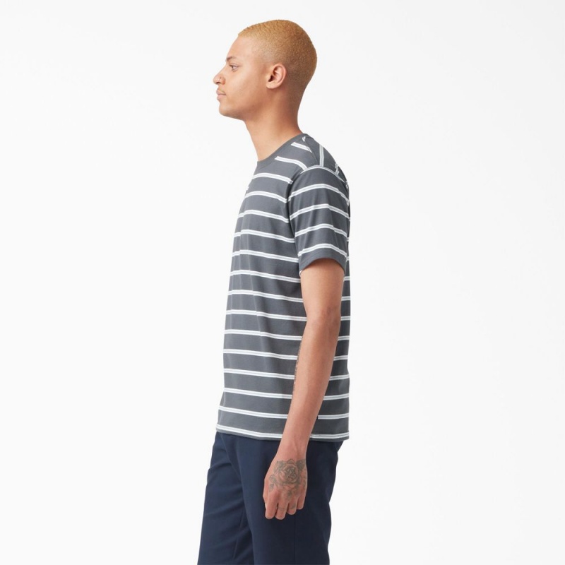 Men's Dickies Skateboarding Striped T-Shirt Grey | 862705LKR