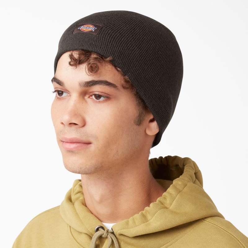 Men's Dickies Skull Beanie Brown | 674018RGE