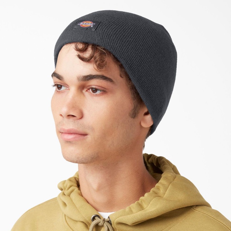 Men's Dickies Skull Beanie Grey | 256078LTE