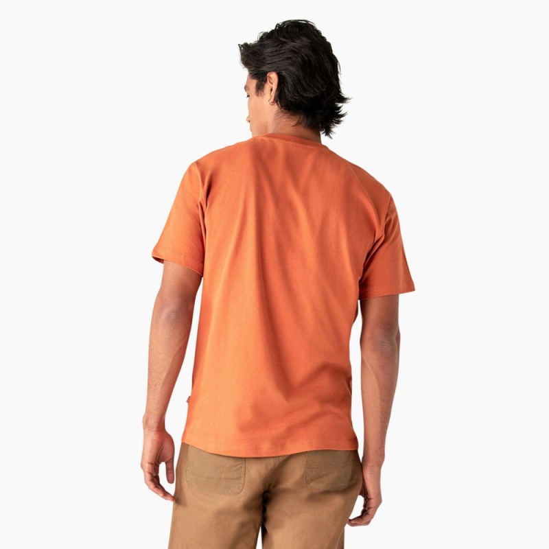 Men's Dickies Summerdale Short Sleeve T-Shirt Orange | 387695YVB