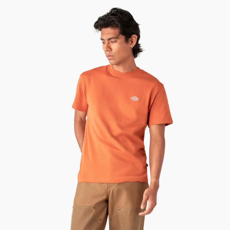 Men\'s Dickies Summerdale Short Sleeve T-Shirt Orange | 387695YVB