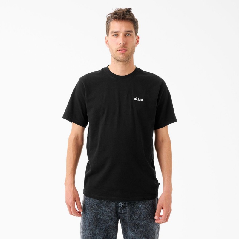 Men\'s Dickies Tom Knox Embroidery T-Shirt Black | 650413ARY