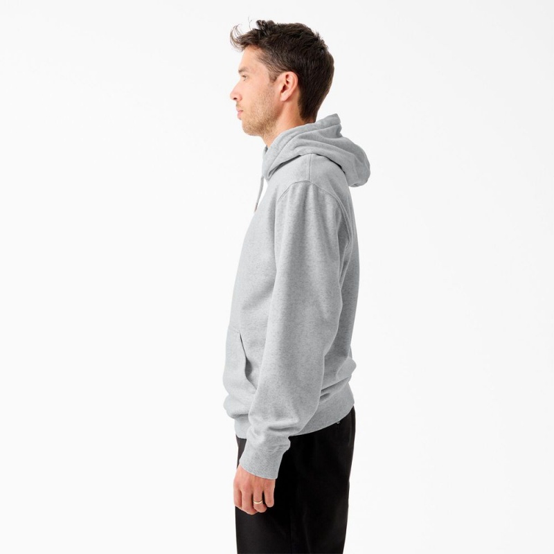 Men's Dickies Tom Knox Graphic Hoodie Grey | 681247SZC