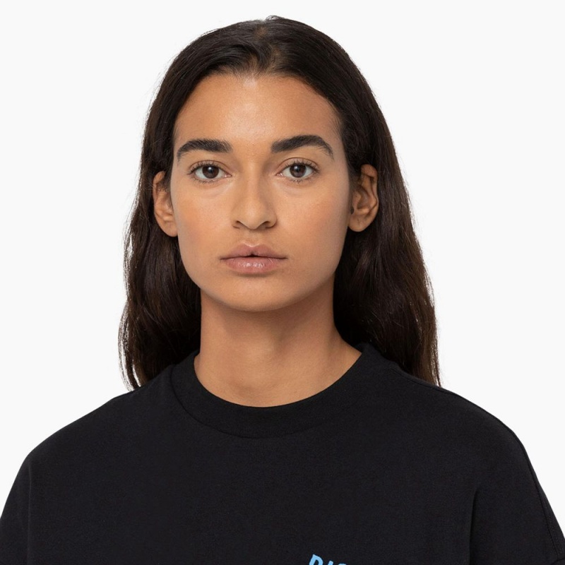 Women's Dickies Creswell Graphic T-Shirt Black | 425617OJF