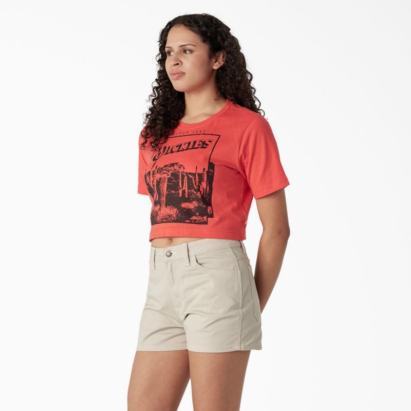 Women's Dickies Desert Graphic Cropped T-Shirt Pink | 695703LWN