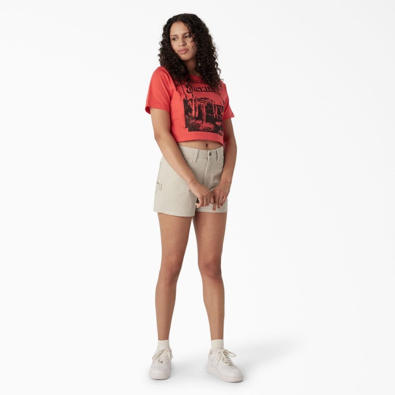 Women's Dickies Desert Graphic Cropped T-Shirt Pink | 695703LWN